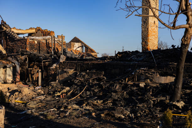 24/7 Emergency Content Restoration experts in Mayer, MN