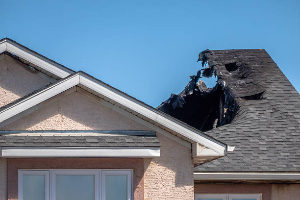 Licensed Content Restoration service in Mayer, MN - Fire Damage Biloxi